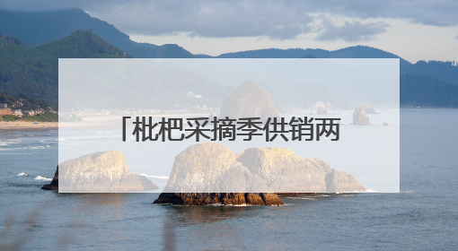 枇杷采摘季供销两旺 四川宝兴晚熟枇杷冷链发全国